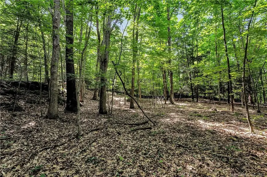 200 North Street, Roxbury, CT 06783 - Image #3