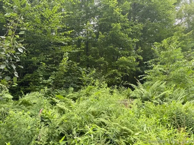 1040 Main Street, Somers, CT 06071 - Image #1