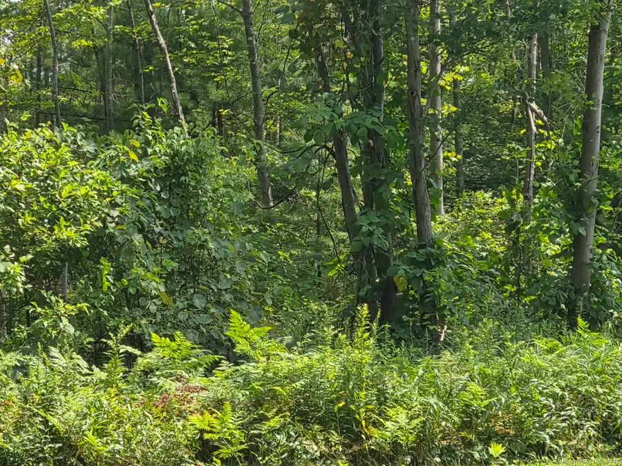 1220 Blue Hills Avenue, Bloomfield, CT 06002 - Image #2