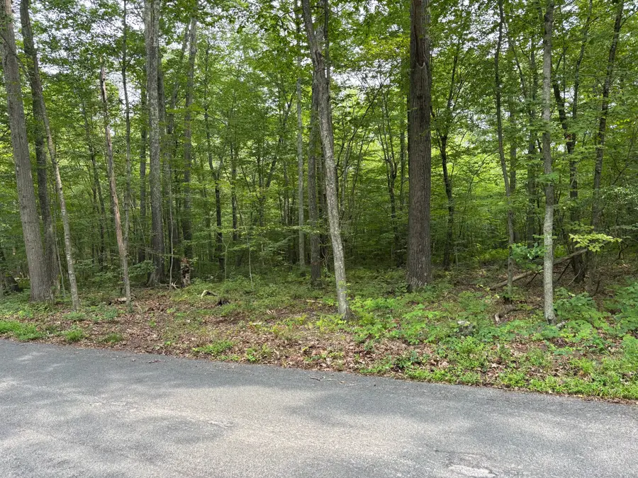 0 Wheeling Road, Andover, CT 06232 - Image #3