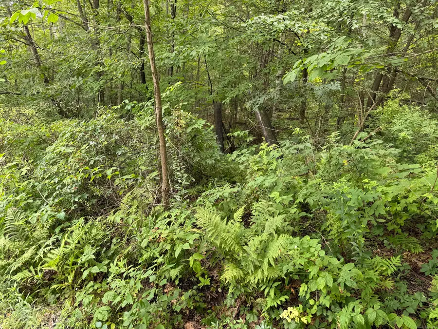 Sally Burr Road, Litchfield, CT 06759 - Image #3