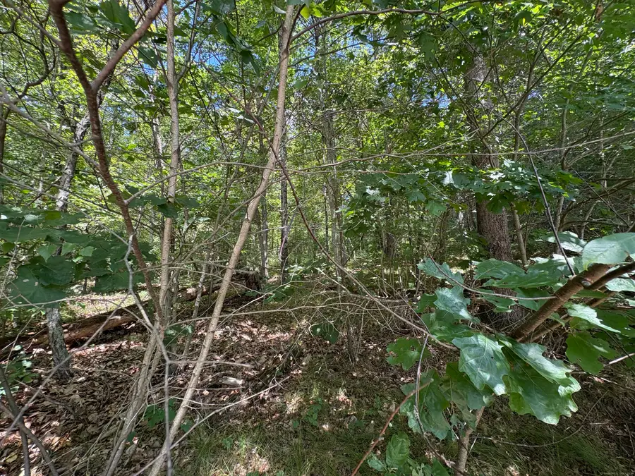 River Road, Willington, CT 06279 - Image #2