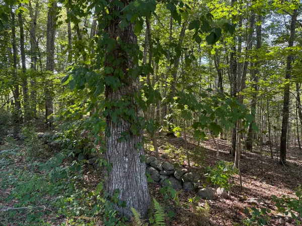 301 Montauk Avenue, Stonington, CT 06378