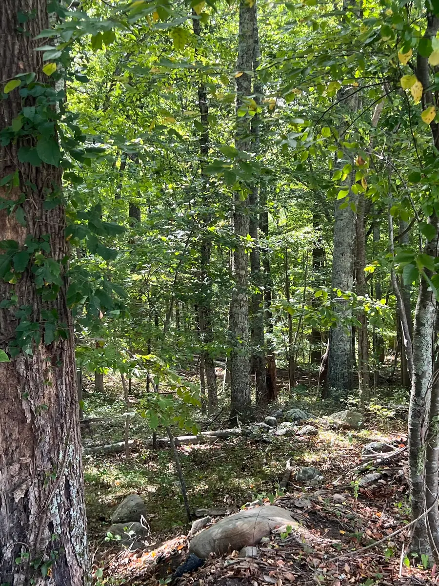 77 Foster Road, Waterford, CT 06385 - Image #3