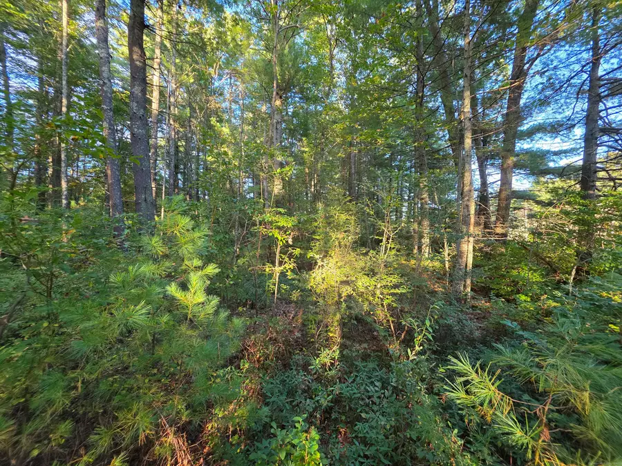 809 Providence Pike, Putnam, CT 06260 - Image #2