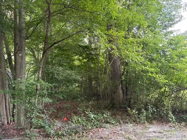 Park Road, Lebanon, CT 06249 - Image #1