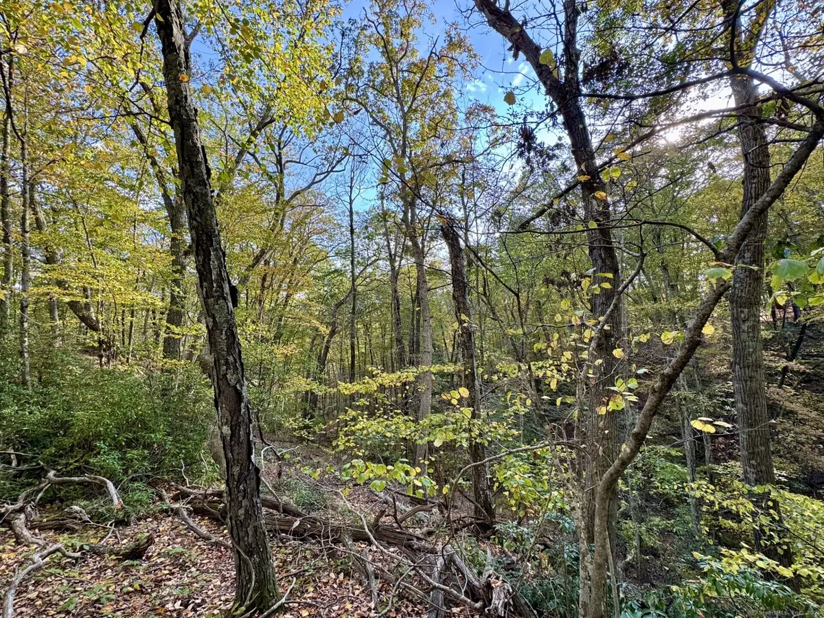 69 Moosehorn Road, Roxbury, CT 06783 - Image #1