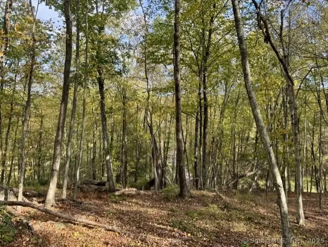 69 Moosehorn Road, Roxbury, CT 06783 - Image #2