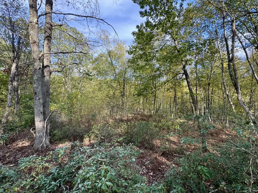 69 Moosehorn Road, Roxbury, CT 06783 - Image #3