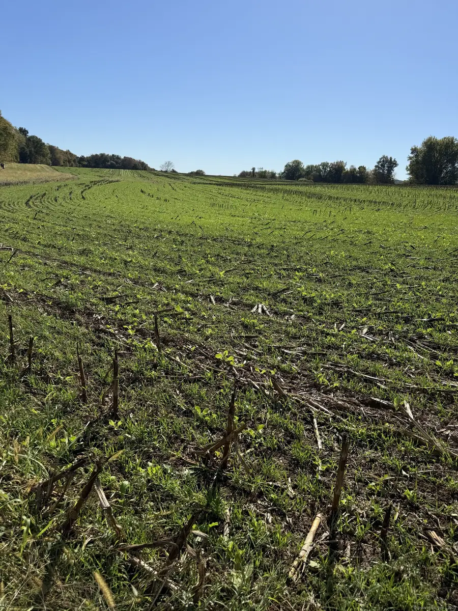 20 Holton Road, Franklin, CT 06254 - Image #2