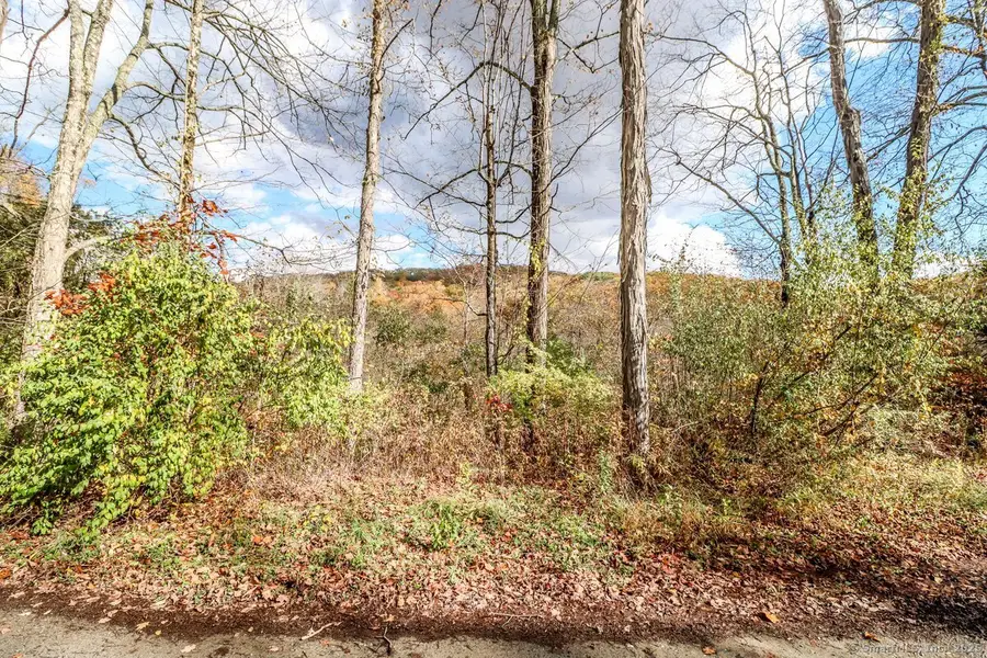 0 Saw Mill Road, New Milford, CT 06776 - Image #2