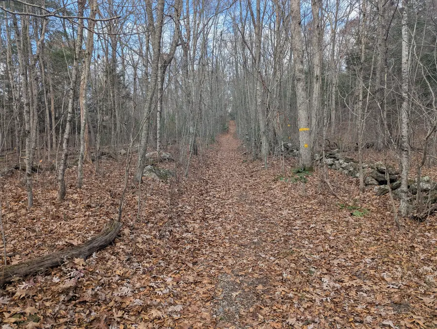 Phelps Road, Marlborough, CT 06447 - Image #3