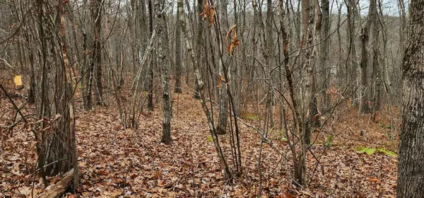 Richards Road, Kent, CT 06757