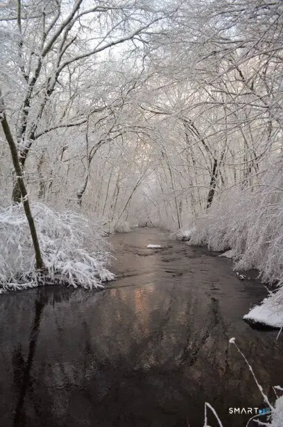 414 Canterbury Road, Brooklyn, CT 06234 - Image #3