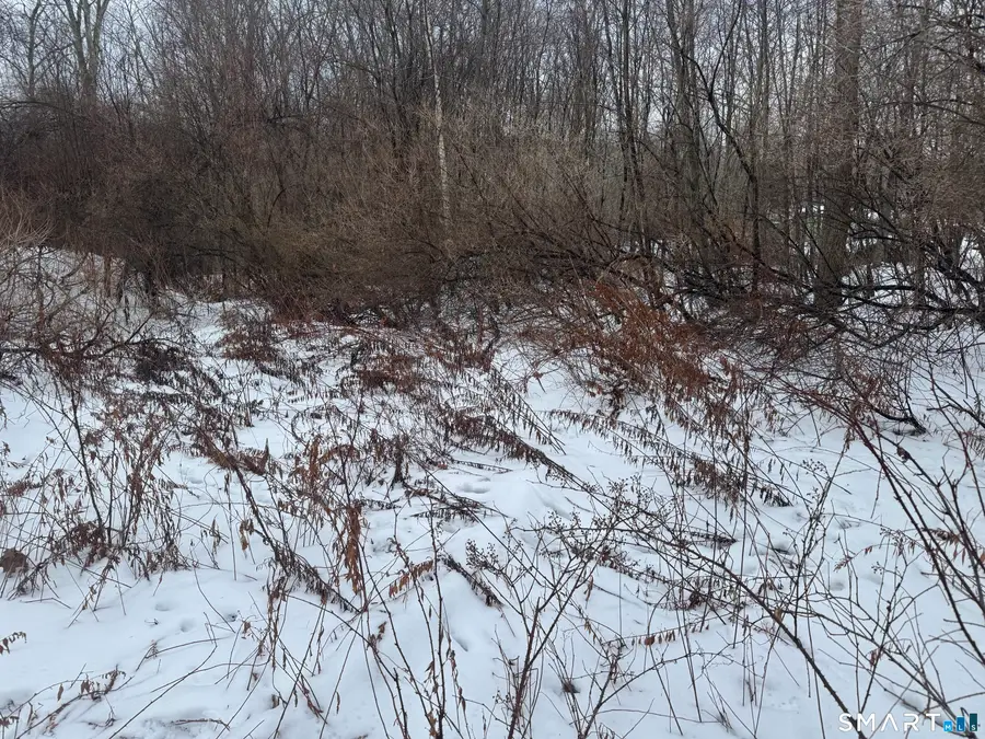 262 Stoddard Road, Morris, CT 06763 - Image #2