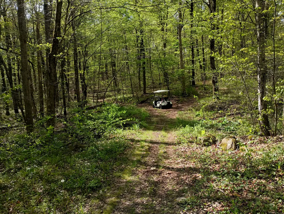 Litchfield Road, Watertown, CT 06795 - Image #1