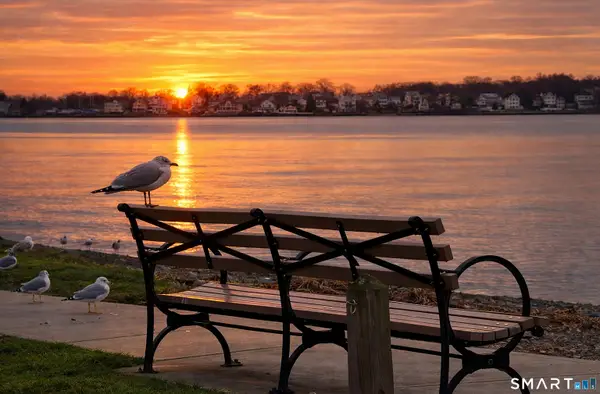 24 Woodward Avenue #APT 46, New Haven, CT 06512