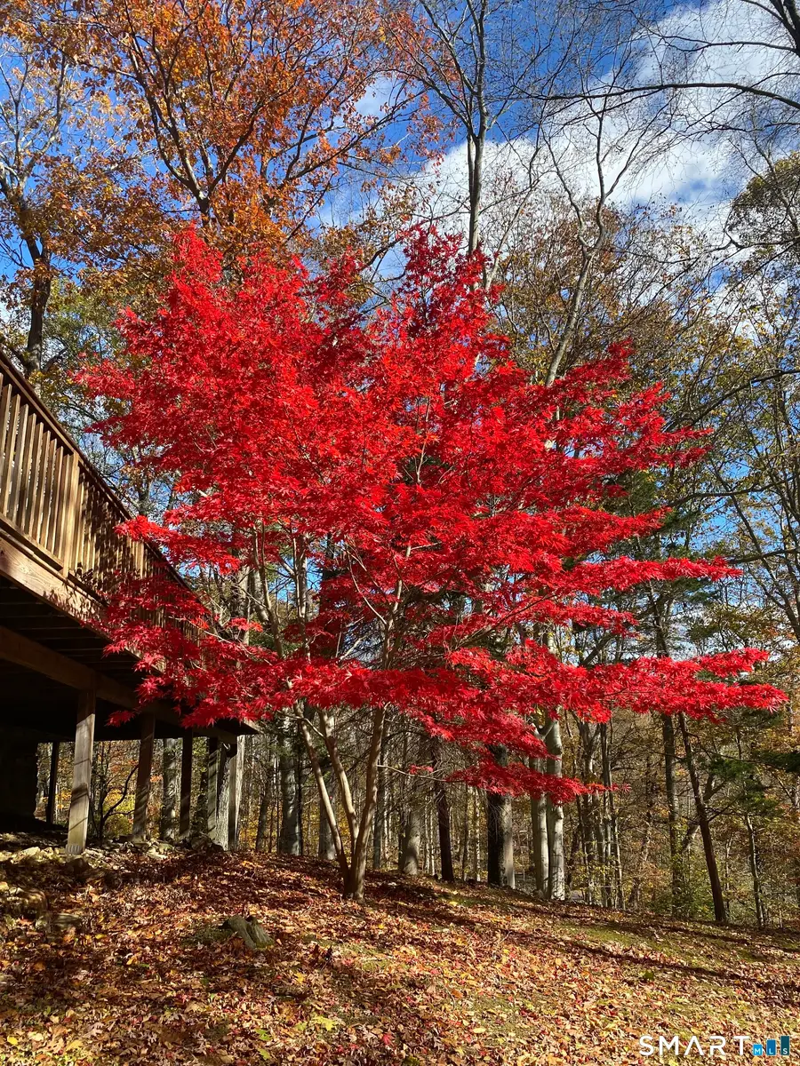 134 Delaware Road, Easton, CT 06612 - #3