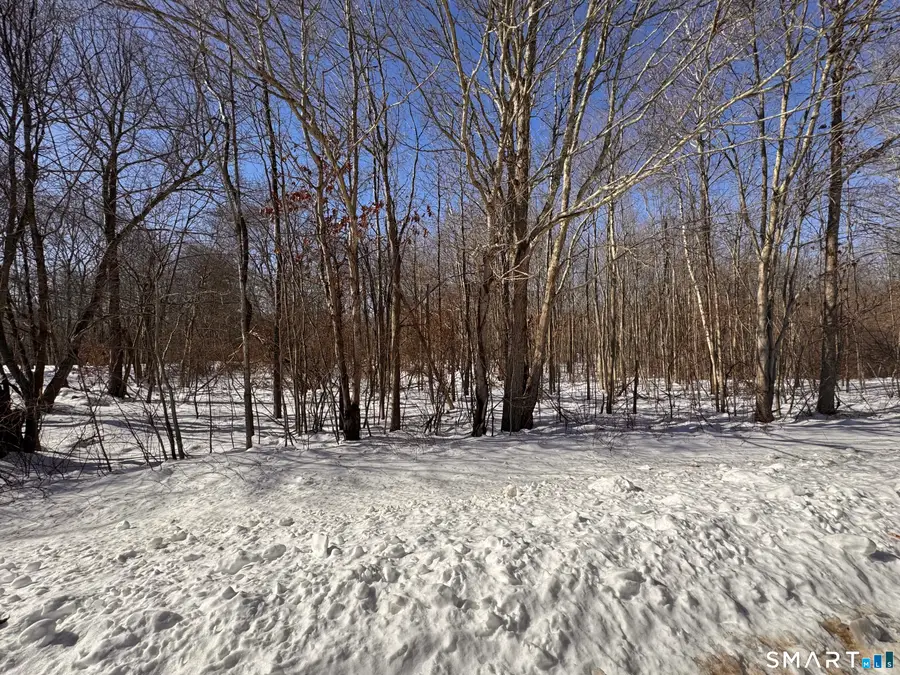 Lot#14D Litchfield Road, Watertown, CT 06795 - #3