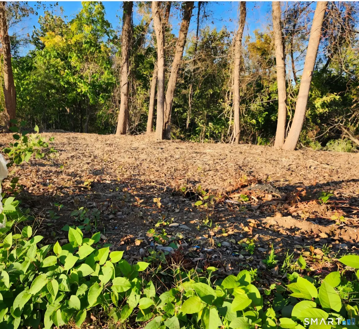 171 Otrobando Avenue, Norwich, CT 06360 - #1