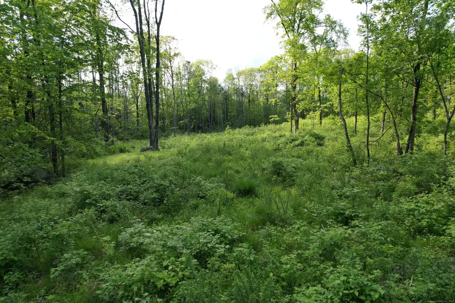 33 Tyler Ridge Road, Goshen, CT 06756 - #2