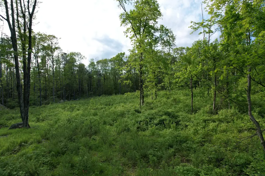 33 Tyler Ridge Road, Goshen, CT 06756 - #3