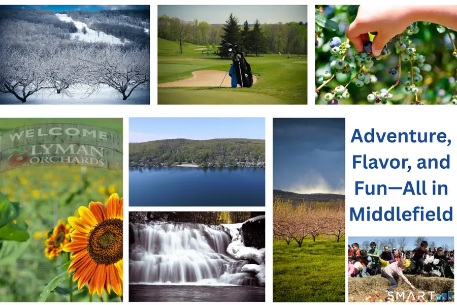 169 Cedar Street, Rockfall, CT 06481 - #2