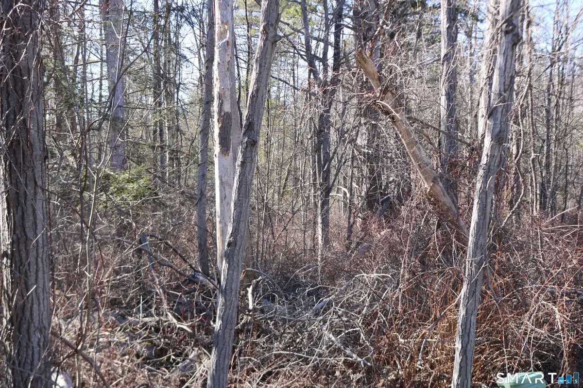 Ashley Drive, Goshen, CT 06756 - #1