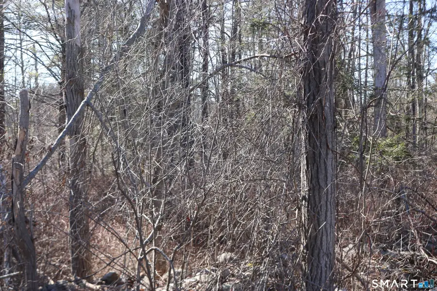 Ashley Drive, Goshen, CT 06756 - #2