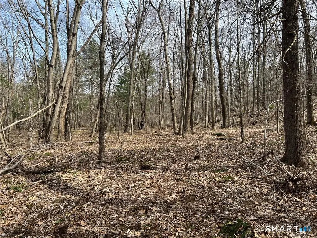 106 Church Street, Brooklyn, CT 06234 - #1