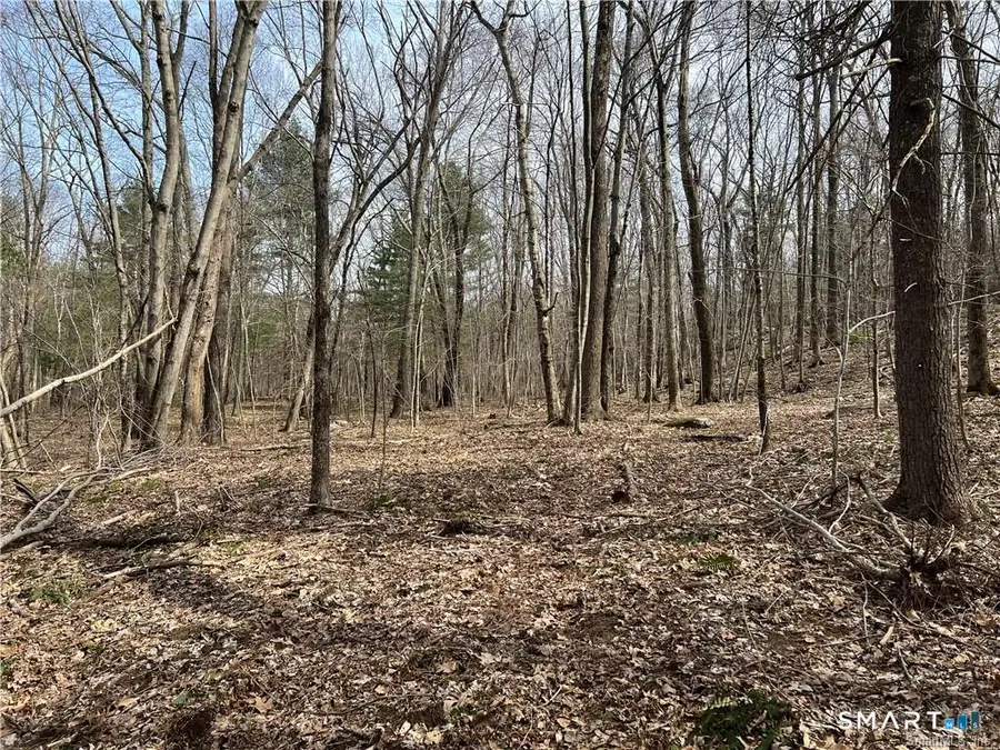 110 Church Street, Brooklyn, CT 06234 - #2