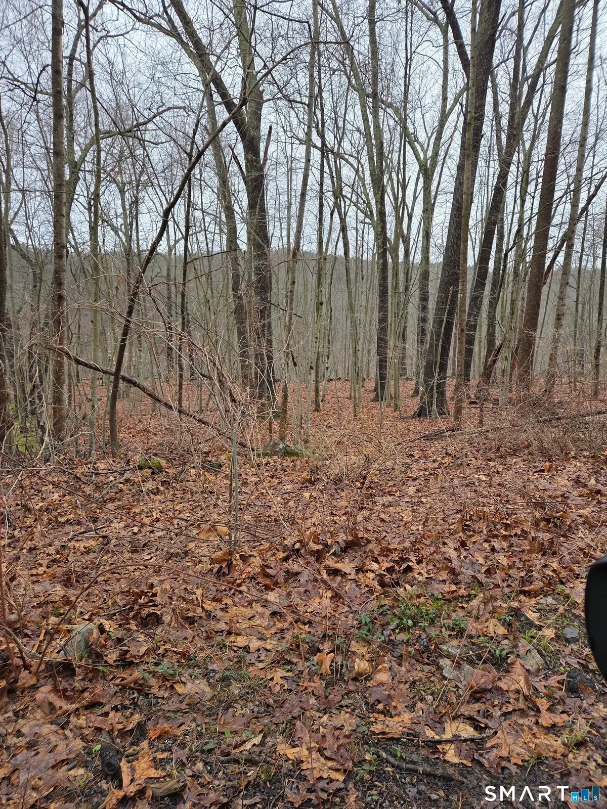 165 Housatonic Trail, Southbury, CT 06488 - #1