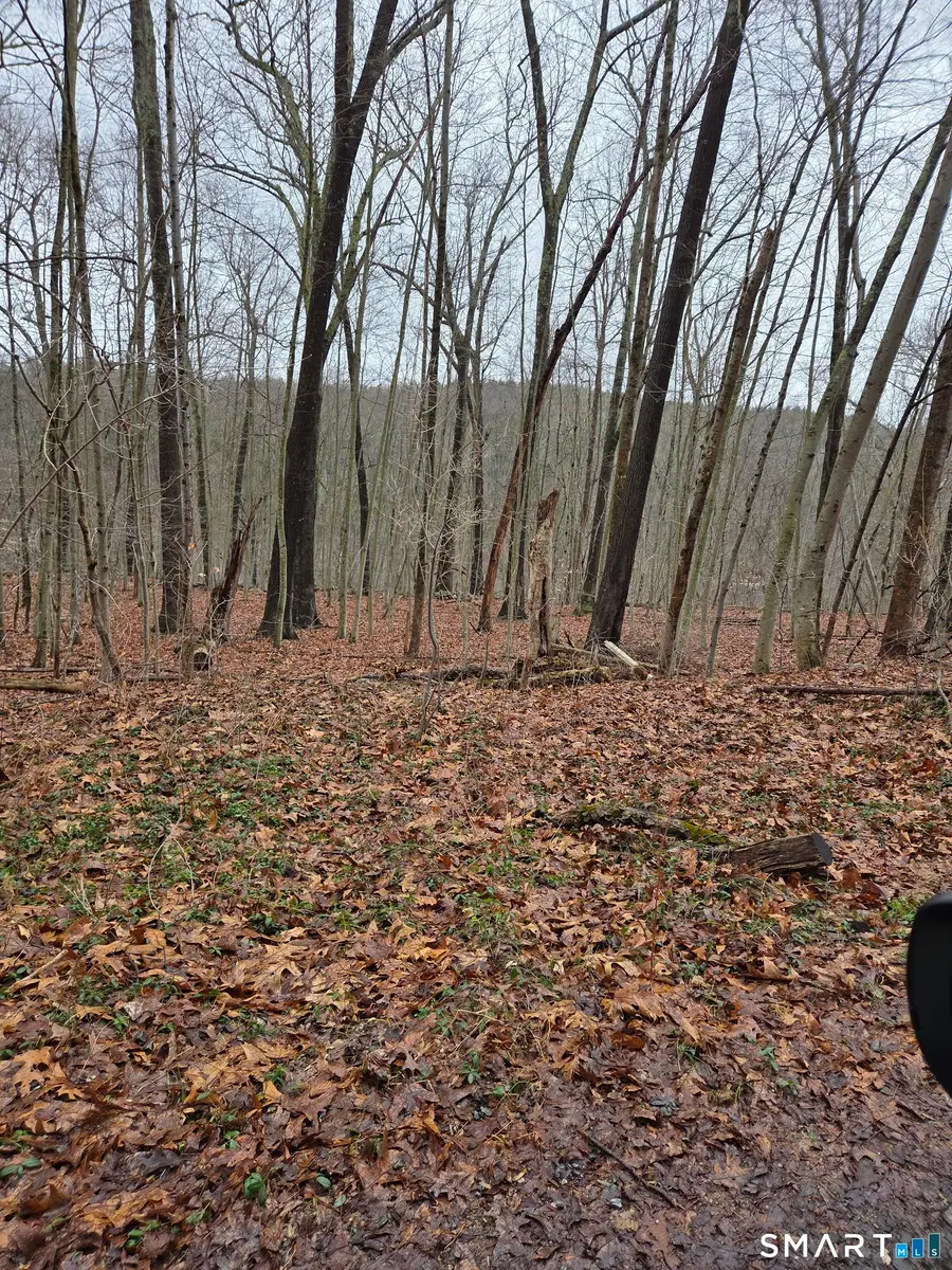 165 Housatonic Trail, Southbury, CT 06488 - #2