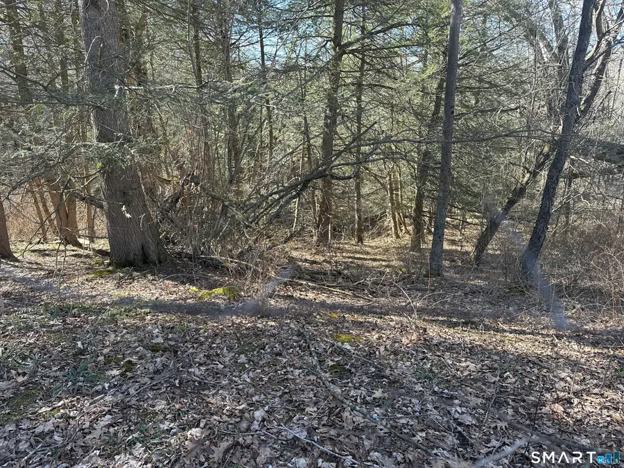 0 Newcomb Road, Litchfield, CT 06759 - #2