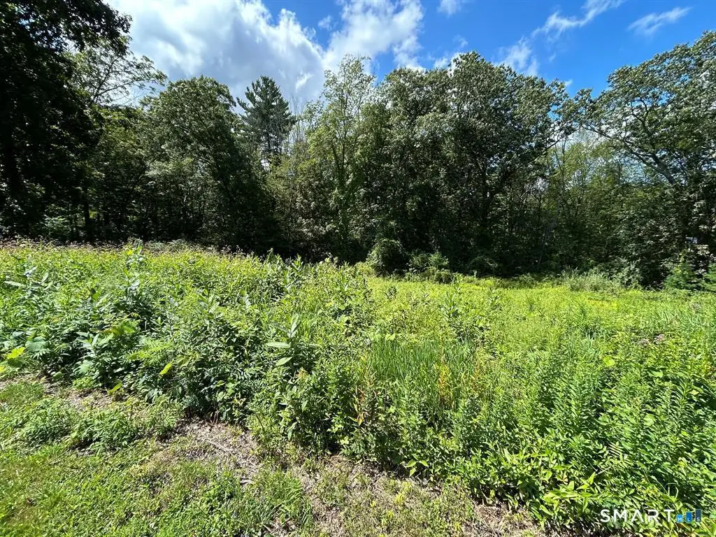 36 Olde Meadow Road, Woodstock, CT 06281 - #1