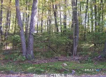 254 Stoddard Road, Morris, CT 06763 - #1