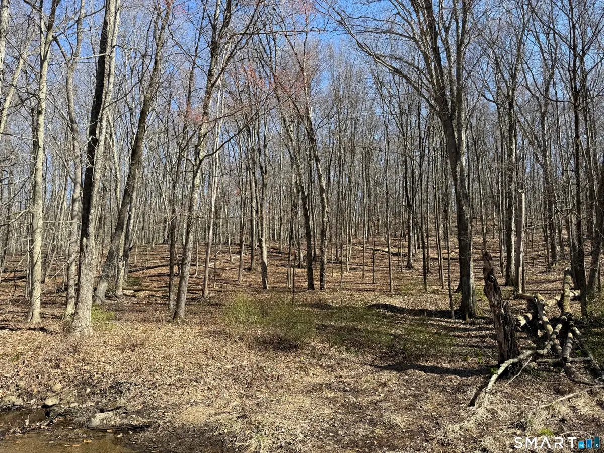 17 Old Bethel Road, Newtown, CT 06470 - #1