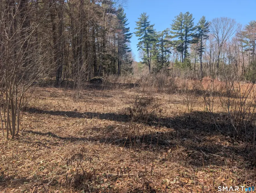 0 Torringford Street, Torrington, CT 06790 - #3