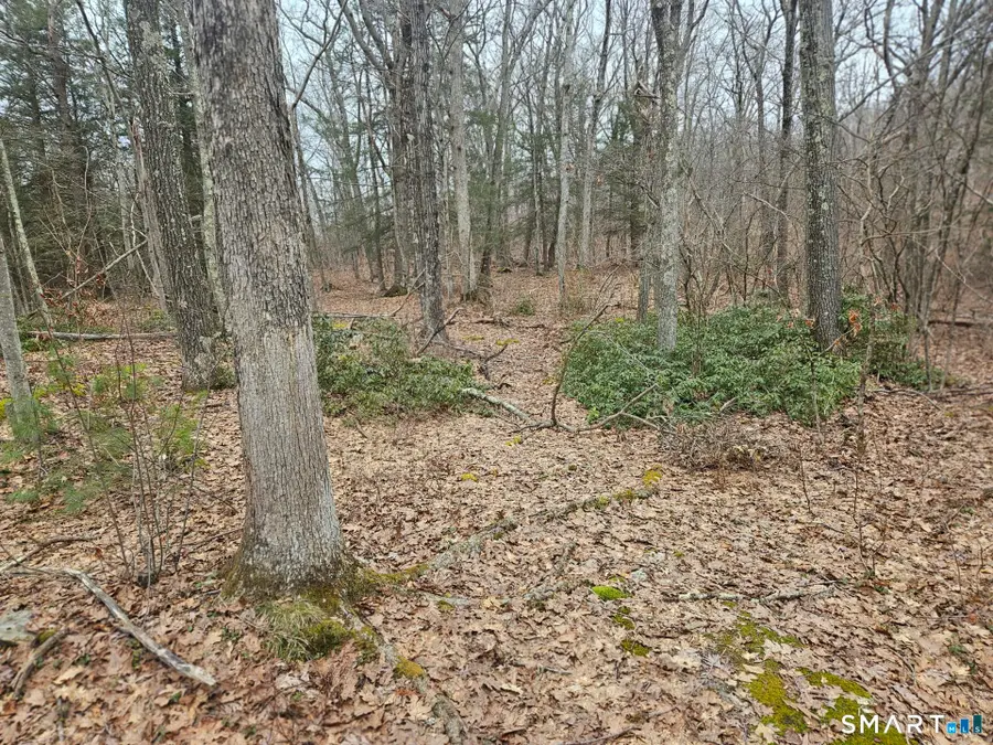 Windy Ridge Road, Warren, CT 06754 - #2