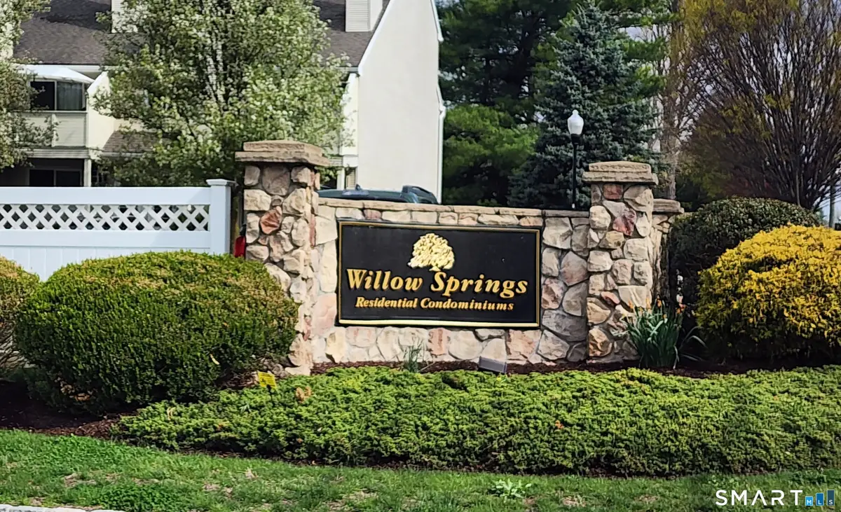 124 Willow Springs #124, New Milford, CT 06776 - #1