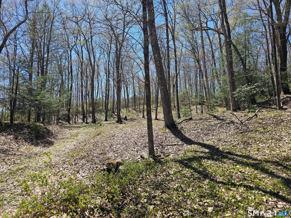 307 North Street, Roxbury, CT 06783 - #1