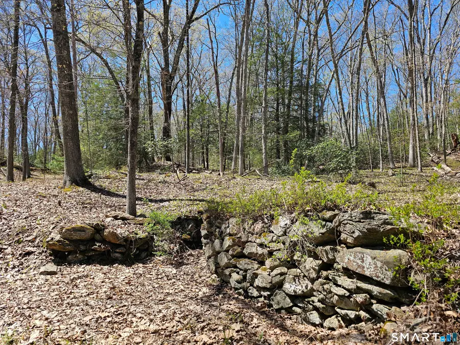 307 North Street, Roxbury, CT 06783 - #2