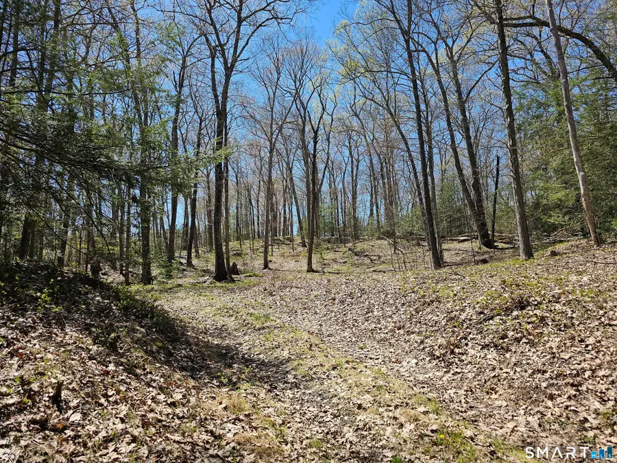 307 North Street, Roxbury, CT 06783 - #3