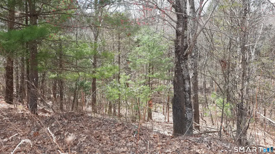 Lot 03-2 New Sweden Road, Woodstock, CT 06281 - #3