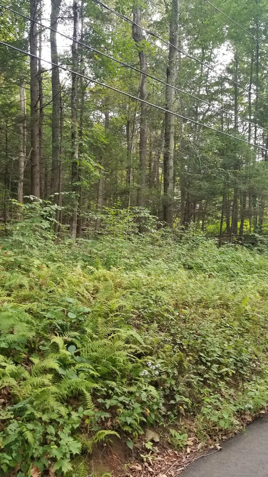 00 Stockburger Road, East Haddam, CT 06423 - #2