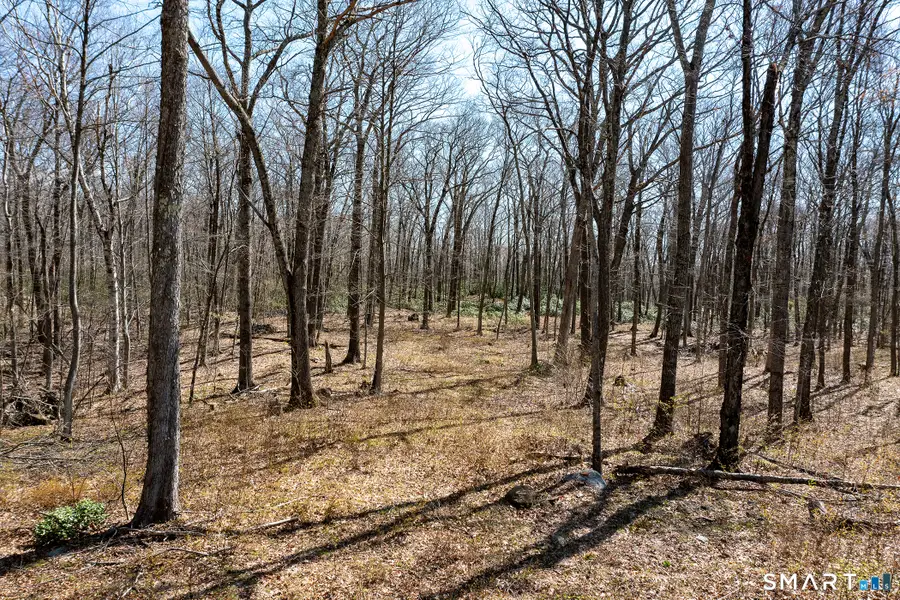 22 Old Paddock Lane, Kent, CT 06785 - #3