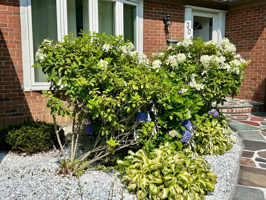 30 Apter Drive, Torrington, CT 06790 - #3