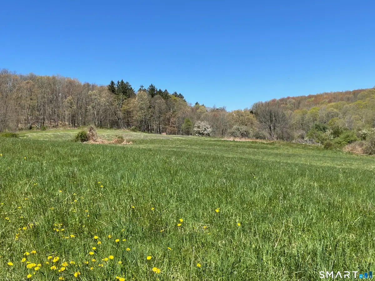 55 Ranney Hill Road, Roxbury, CT 06783 - #1