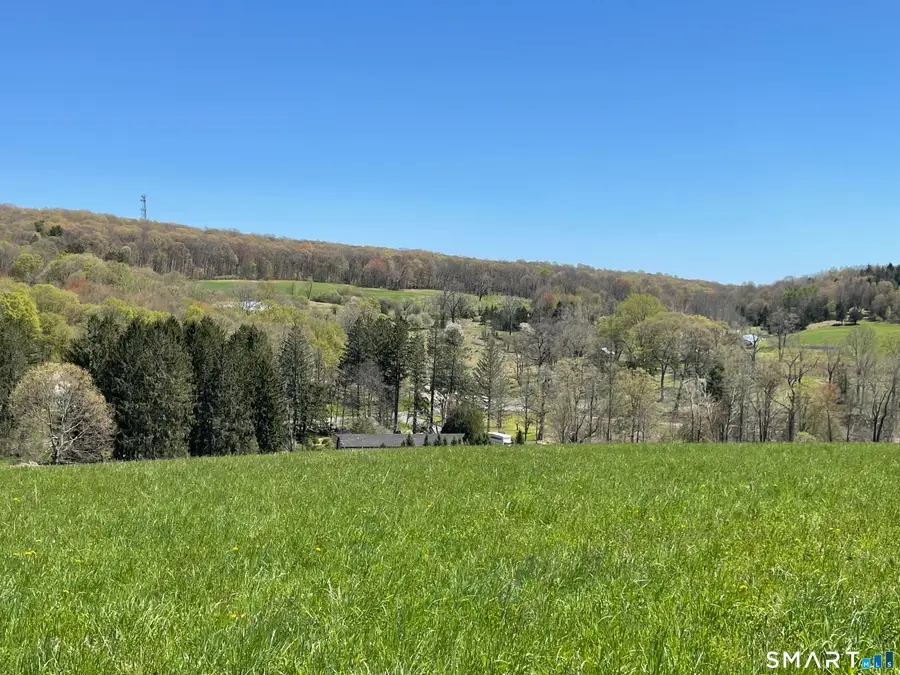 55 Ranney Hill Road, Roxbury, CT 06783 - #3