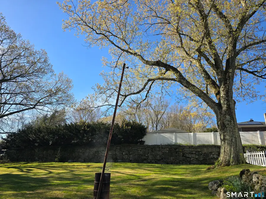 51 Cushman Street, Waterbury, CT 06704 - #3